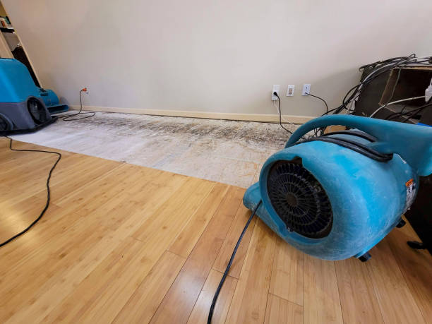 Professional Water Damage Repair technician working in Polk, OH